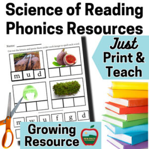 Science of Reading Phonics Resources - Low Prep - GROWING RESOURCE